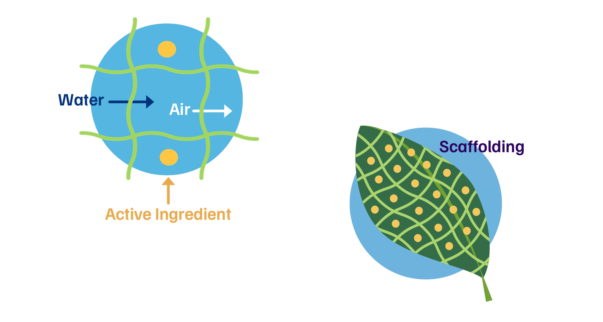 SkinTec origin chemistry diagrams