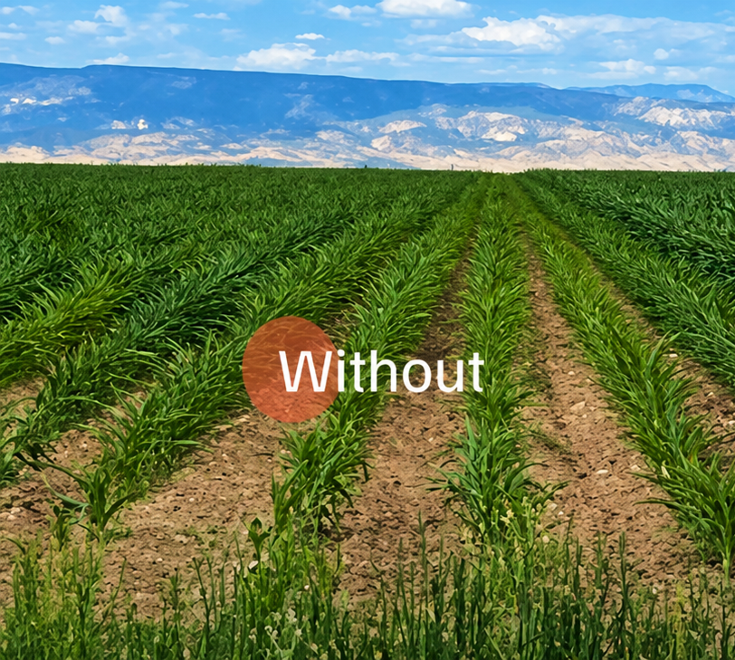 SkinTec origin comparison without moisture-retaining chemistry